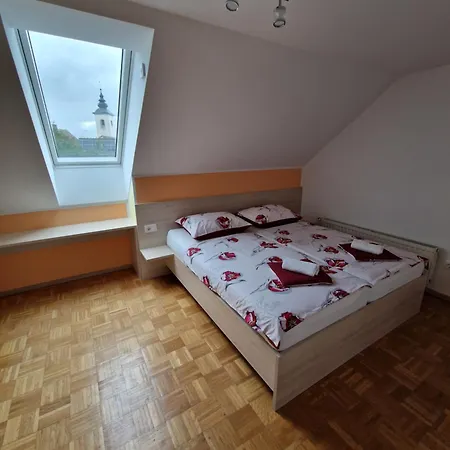 Apartament Ravnik Brod 13 *