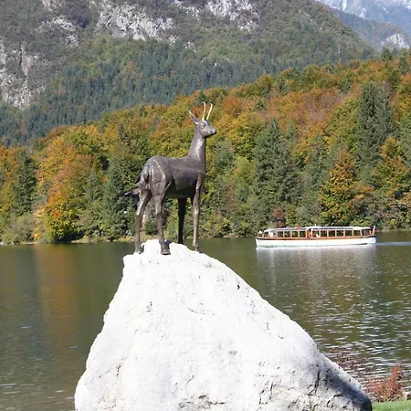 Ravnik Brod 13 Appartement *