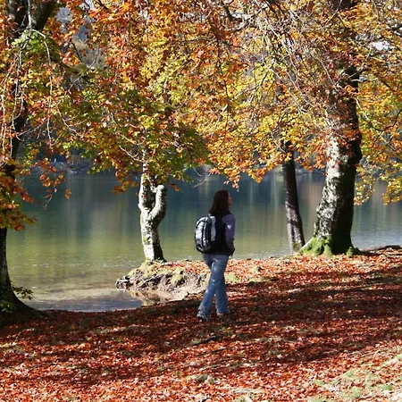 Appartement Ravnik Brod 13 Bohinj