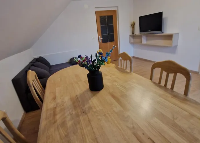 Apartman Ravnik Brod 13 *