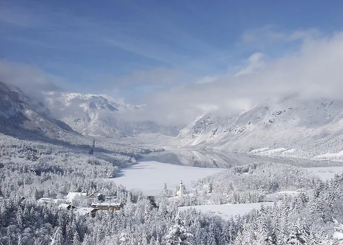 Ravnik Brod 13 Apartman Bohinji-tó