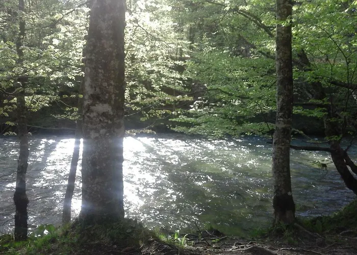 Ravnik Brod 13 Bohinji-tó