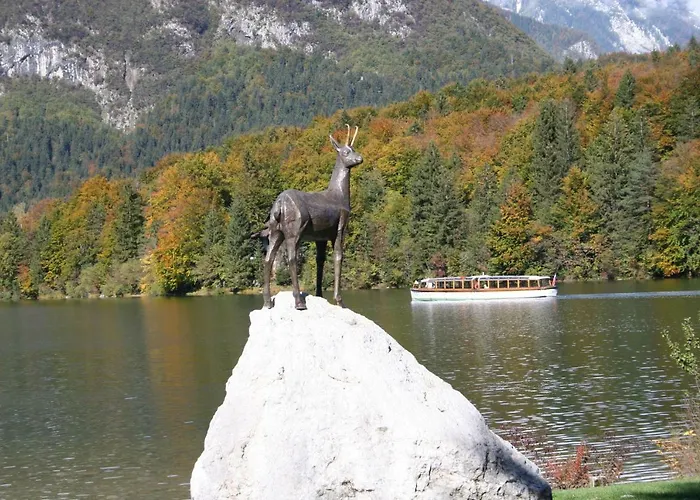 Ravnik Brod 13 Apartman *