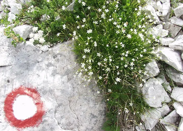 Ravnik Brod 13 Bohinj