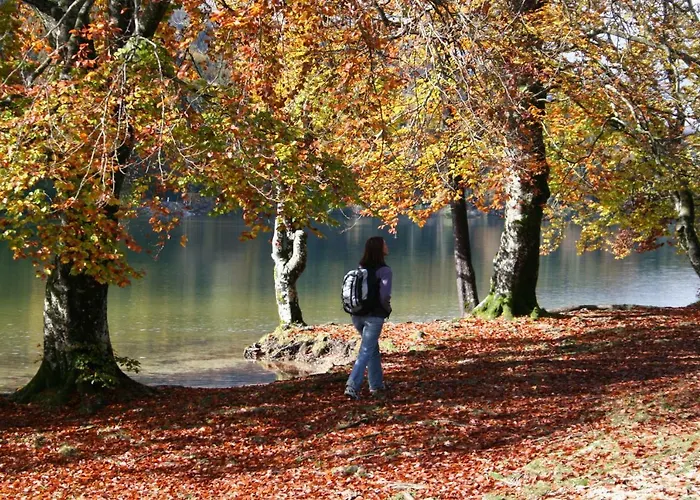 Διαμέρισμα Ravnik Brod 13 Bohinj
